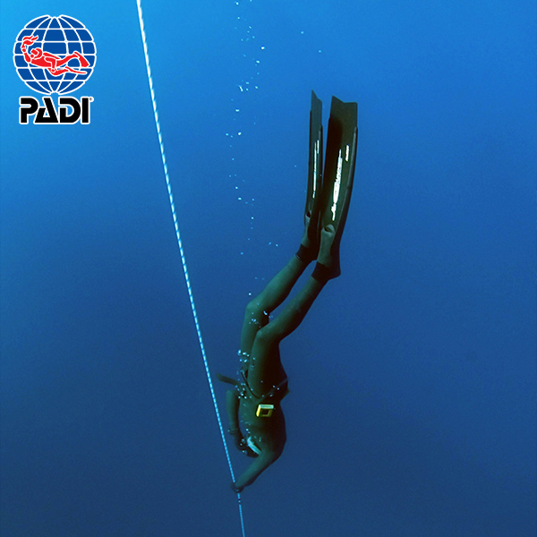 PADI Open Water Diver