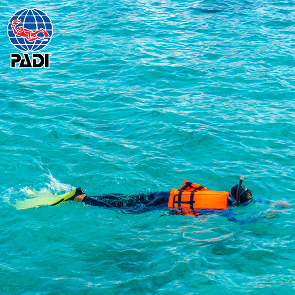 PADI Rescue Diver