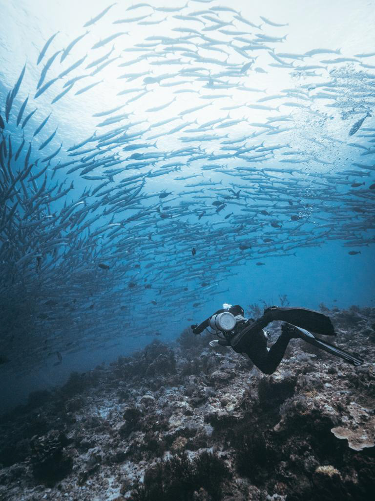 Fun Dive - Sipadan Route