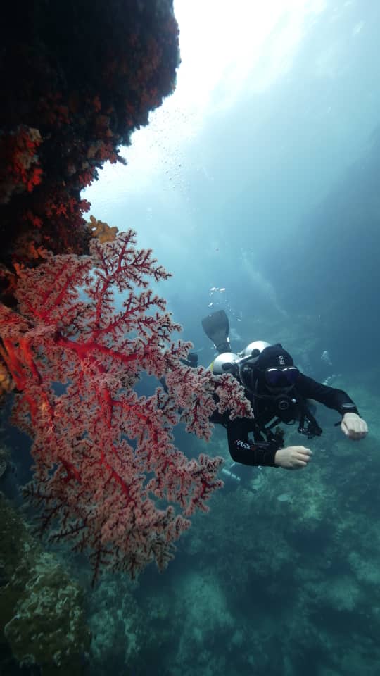 Fun Dive - Sipadan Route