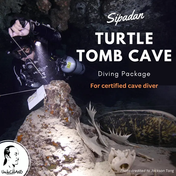 Sipadan Turtle Tomb Cave Diving