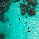 Snorkelling - Tun Sakaran Marin Park (TSMP)