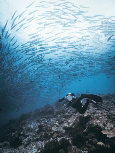 Fun Dive - Mabul Route