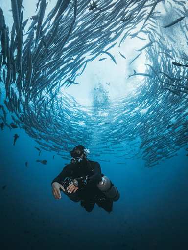 Fun Dive - Sipadan Route