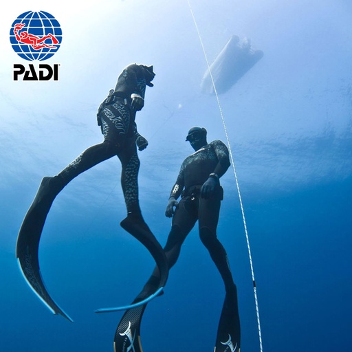 Free dive
AIDA 1 + AIDA 2