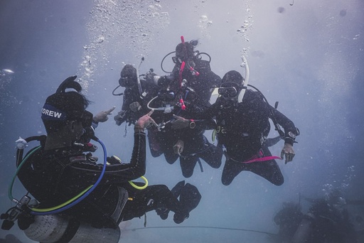 Dive Master Course